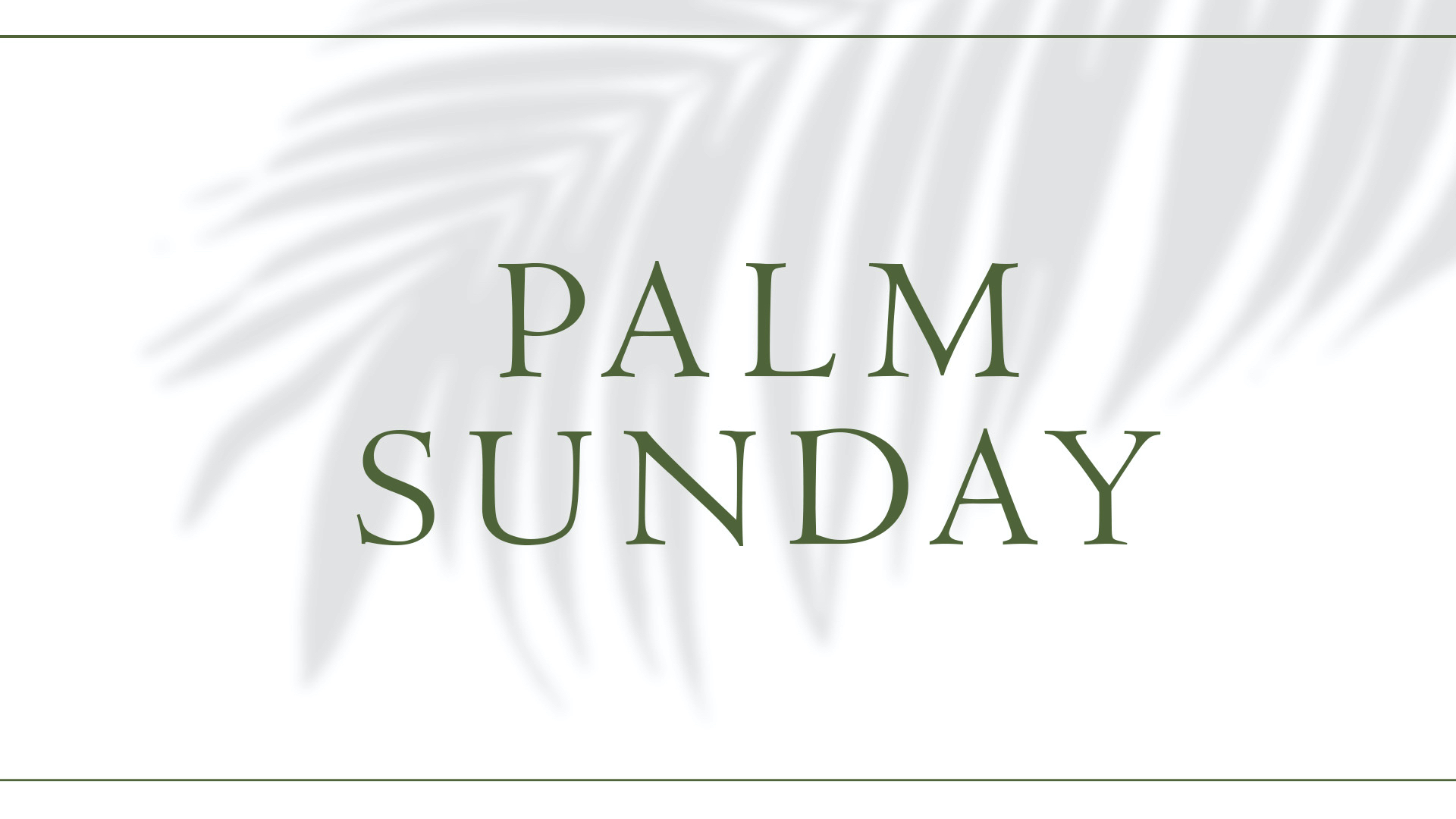 The Perspective Of Palm Sunday