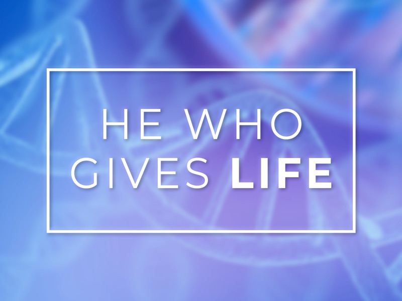 Spiritual Ministries Not Spiritual Gifts